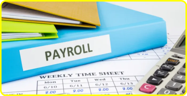 The True Cost of Payroll: Beyond the Basics